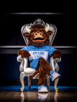 High Plains School Mascot