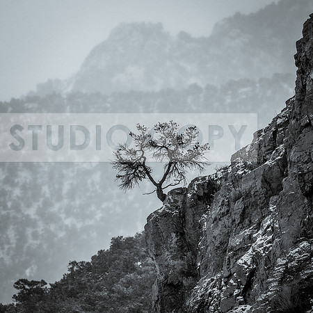 Solitude