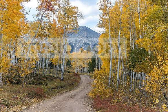 Autumn Mnt.1
