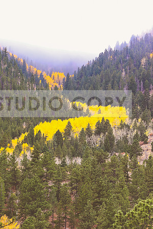 landscapes-2342