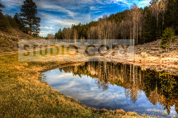 Reflections NEW (1 of 1)